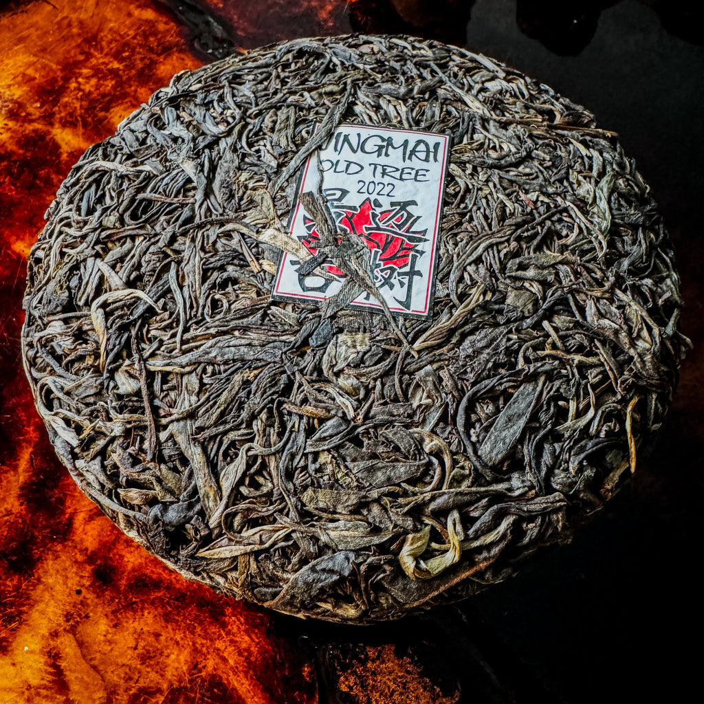 2022 Spring Jingmai Old Tree Sheng / Raw Puerh Tea - 200g Cake :: Seattle Inventory