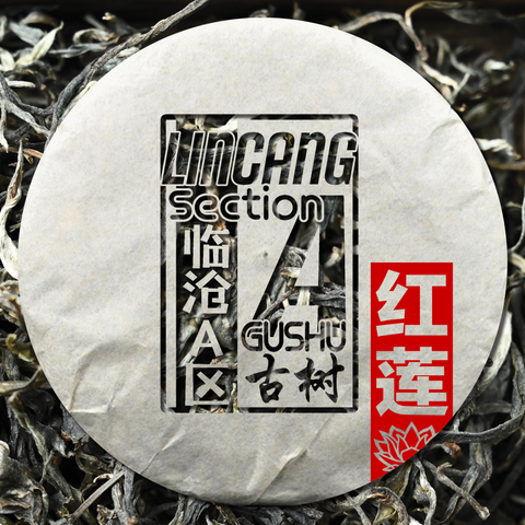 2023 Lincang "Section A" Gushu Sheng / Raw Puerh Tea - 200g Cake
