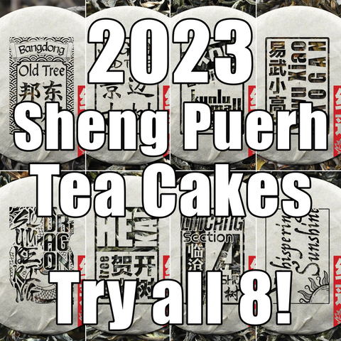 2023 Spring 8 Sheng Puerh Tea Cakes Super Combo Set!