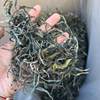 2024 Spring Nannuo Banpo Lao Zhai Sheng / Raw Puerh Tea - 200g Cake :: Seattle Inventory