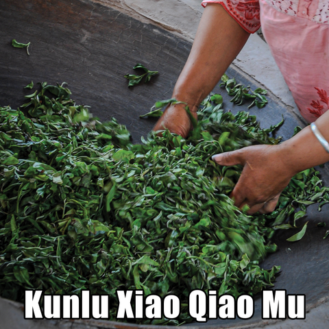 Spring 2024 Kunlu Xiao Qiao Mu Loose Leaf Maocha - Sheng / Raw Puerh Tea