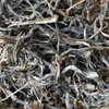 2024 Spring Lincang "Section A" Gushu Sheng / Raw Puerh Tea - 200g Cake :: Seattle Inventory