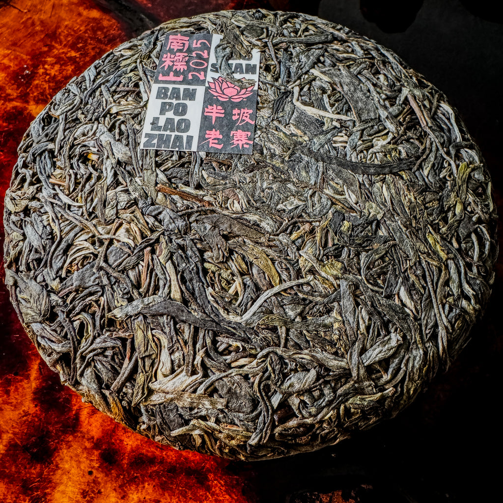 2025 Spring Nannuo Banpo Lao Zhai Sheng / Raw Puerh Tea - 200g Cake :: Seattle Inventory