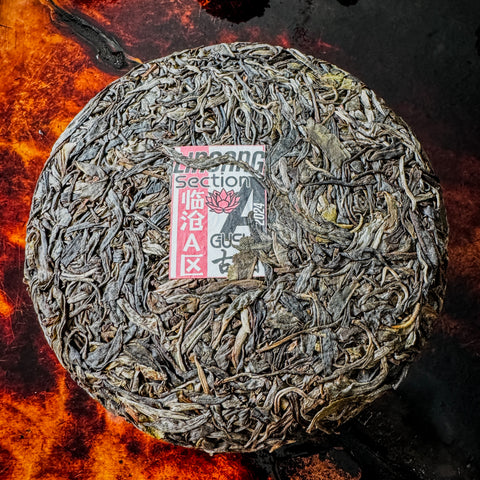 2024 Spring Lincang "Section A" Gushu Sheng / Raw Puerh Tea - 200g Cake :: Seattle Inventory