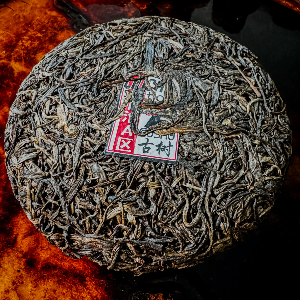 2022 Spring Lincang "Section A Gushu" Sheng / Raw Puerh Tea - 200g Cake :: Seattle Inventory