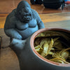 "Charambe" Gorilla Teapet