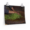 Hand Processed - Poster