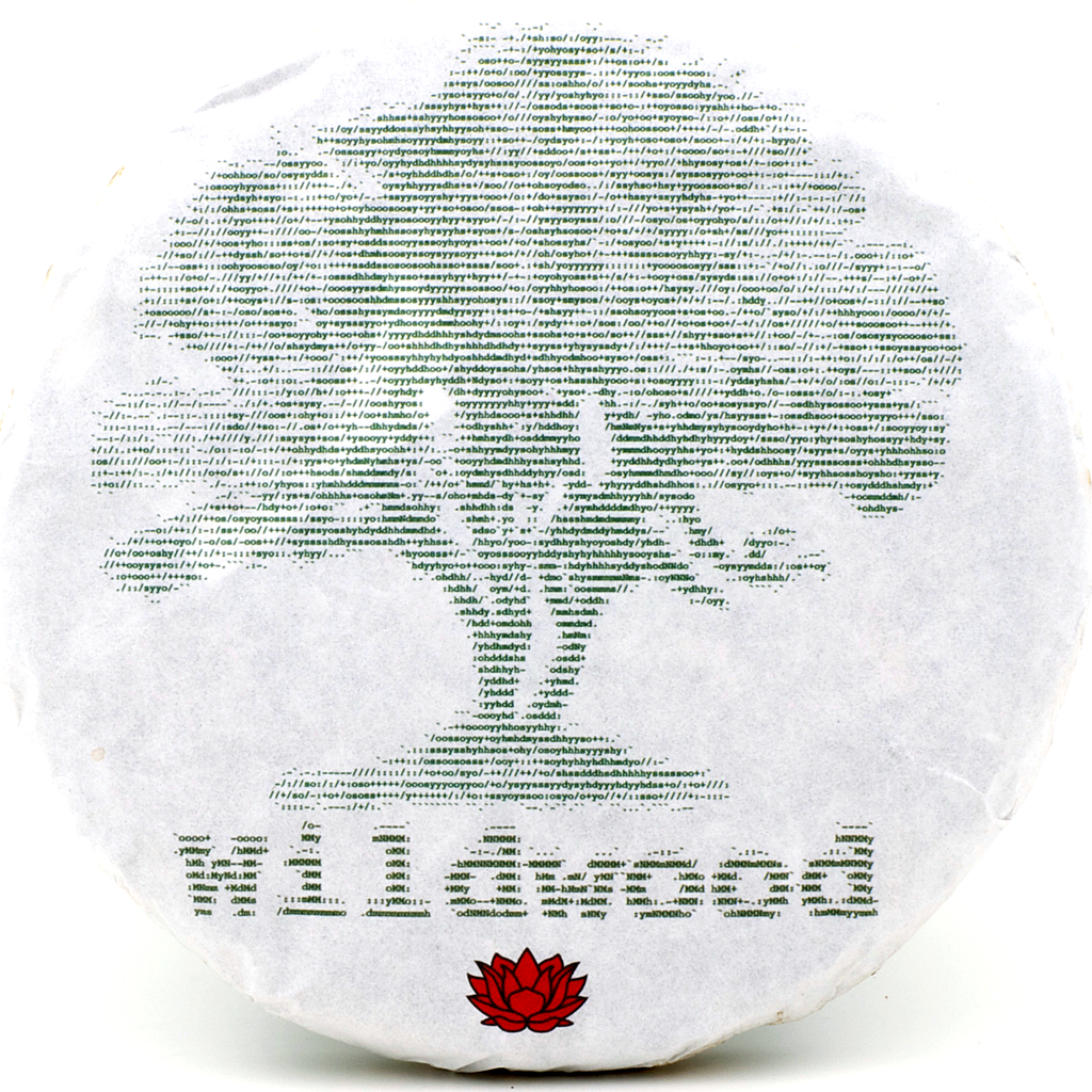 2018 Spring "Wildwood" Sheng / Raw Puerh Tea