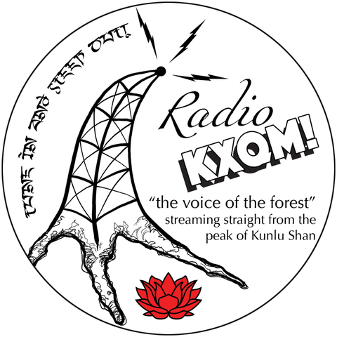 2019 Spring "Radio KXQM" 100g Cake - Sheng / Raw Puerh Tea