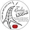 2019 Spring "Radio KXQM" 100g Cake - Sheng / Raw Puerh Tea