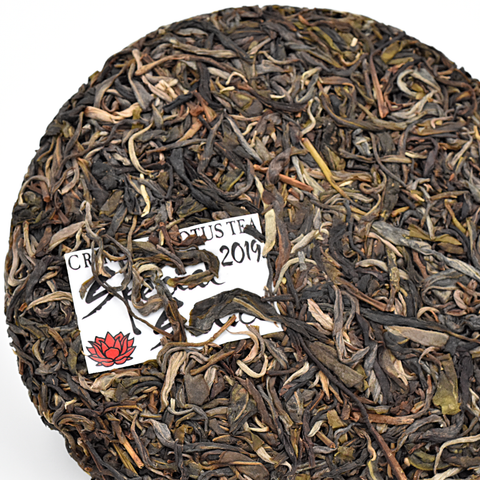 2019 "Special Sauce" Sheng / Raw Puerh Tea Blend