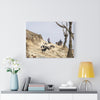 Goat Herding with the Yi - Canvas Print