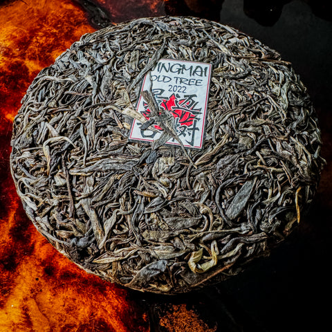2022 Spring Jingmai Old Tree Sheng / Raw Puerh Tea - 200g Cake :: Seattle Inventory