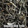2023 Jingmai Old Tree Loose Leaf Maocha - Sheng / Raw Puerh Tea