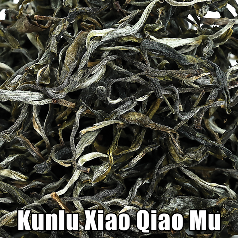 2023 Kunlu Xiao Qiao Mu Loose Leaf Maocha - Sheng / Raw Puerh Tea