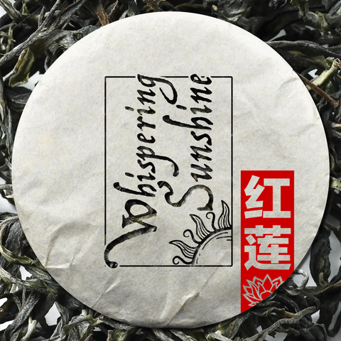 2023 Bai Ying Shan "Whispering Sunshine" Sheng / Raw Puerh Tea - 200g Cake