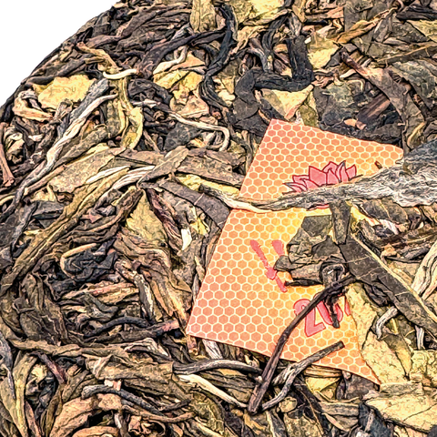 "What is Puerh?" Level One - Educational Tea Tasting Set