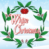 2024 "White Christmas" Yunnan Bai Cha / White Tea