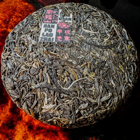 2025 Spring Nannuo Banpo Lao Zhai Sheng / Raw Puerh Tea - 200g Cake :: Seattle Inventory