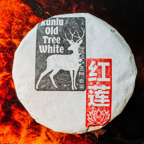 2025 Kunlu Shan Old Tree Bai Cha / White Tea - 200g Cake :: Seattle Inventory