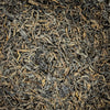 2025 Kunlu Gushu Shou Puerh Tea :: Seattle Inventory