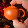 Zhuni Xishi Yixing Teapot 50ml :: Seattle Inventory 23