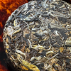 2025 "The Spellbound Stag" Kunlu Shan Big Tree Bai Cha / White Tea - 200g Cake