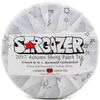 2017 "Stargazer" Sheng / Raw Puerh Tea :: Seattle Inventory