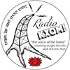 2019 Spring "Radio KXQM" 100g Cake - Sheng / Raw Puerh Tea :: Seattle Inventory