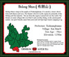 Spring 2014 Bulang Shan Elders Sheng / Raw Puerh 100g Cake