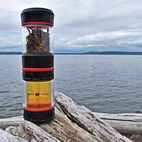 Gongfu Anywhere! The Gongfu2go Portable Tea Brewer.